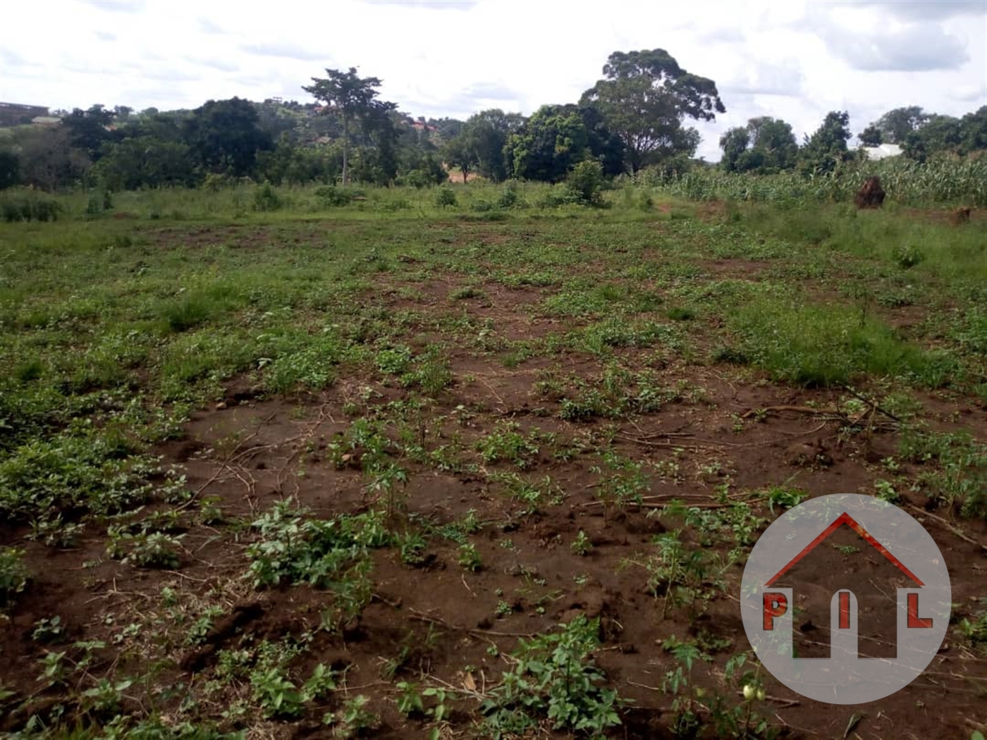 Agricultural Land for sale in Nantabulilwa Mukono