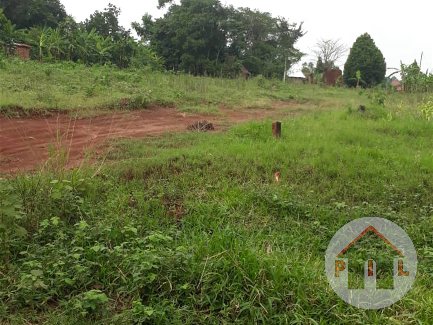 Agricultural Land for sale in Kayonza Mukono