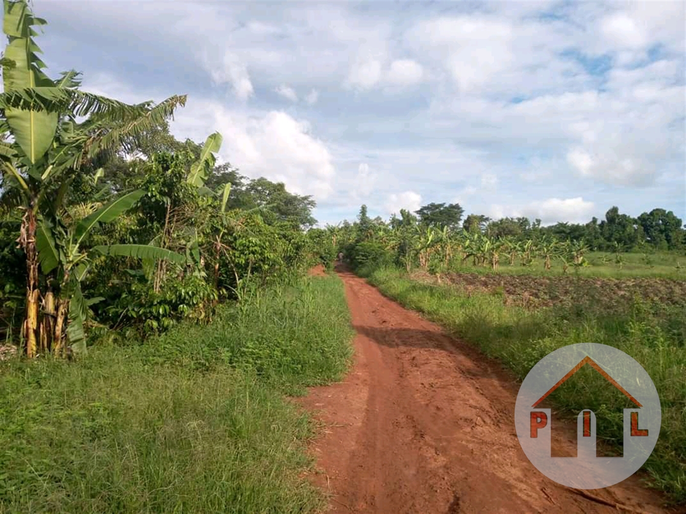 Agricultural Land for sale in Ziloobwe Luweero