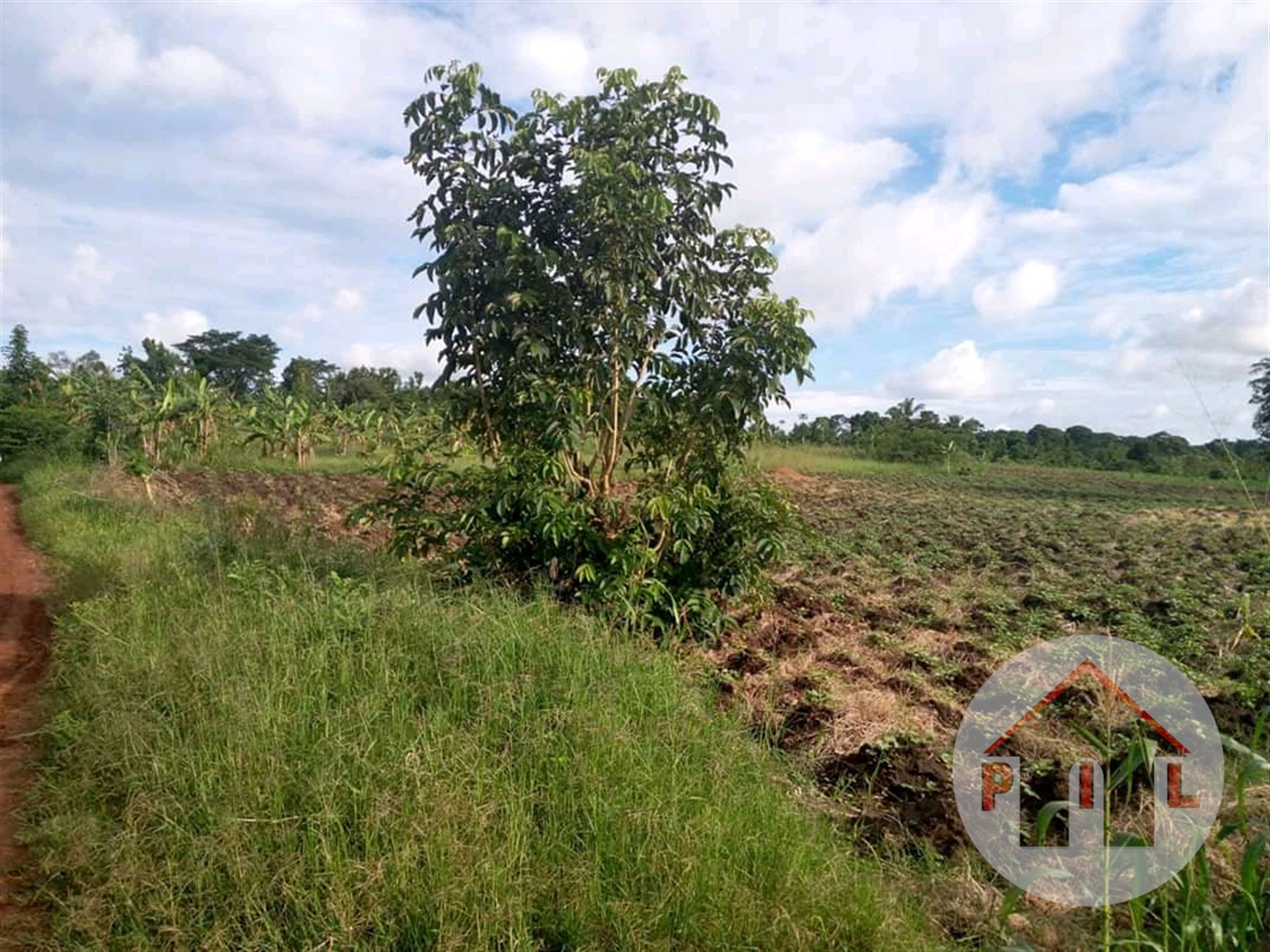 Agricultural Land for sale in Ziloobwe Luweero