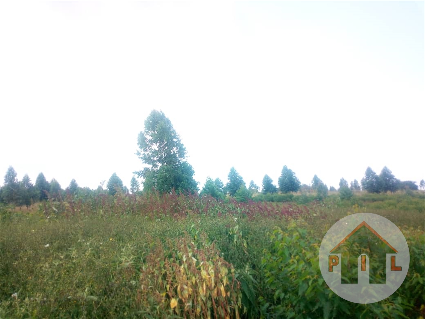 Agricultural Land for sale in Kyakatebe Mubende