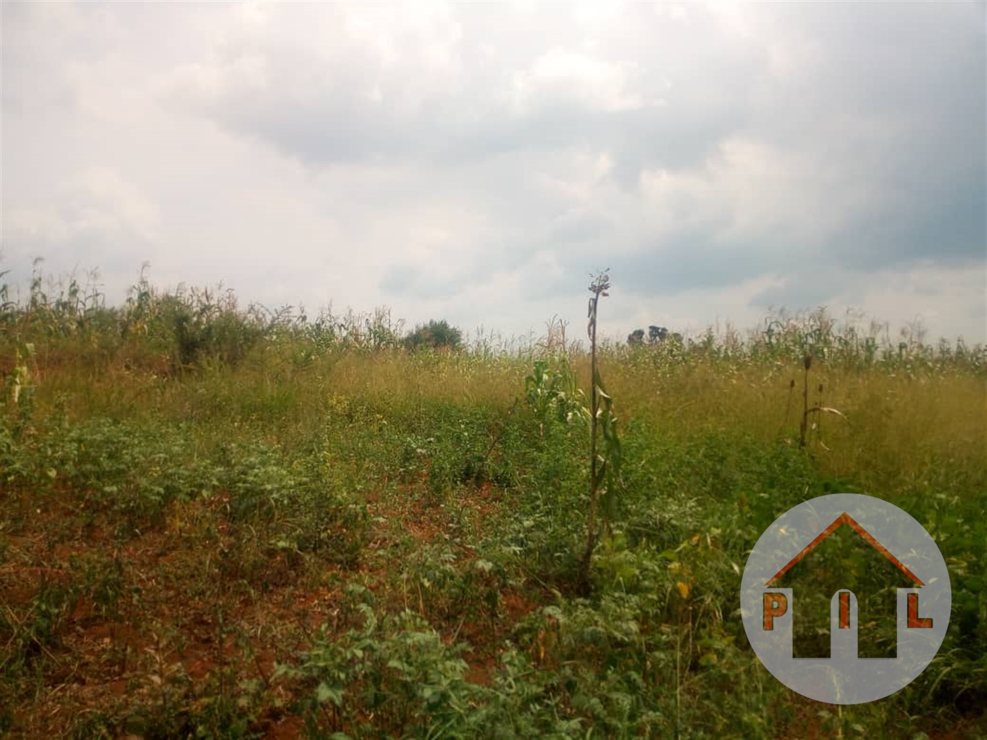 Agricultural Land for sale in Kyakatebe Mubende