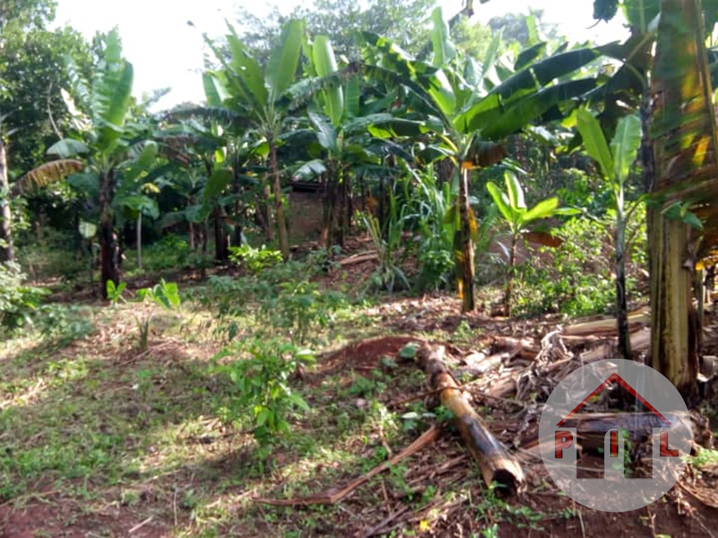 Residential Land for sale in Najjera Wakiso