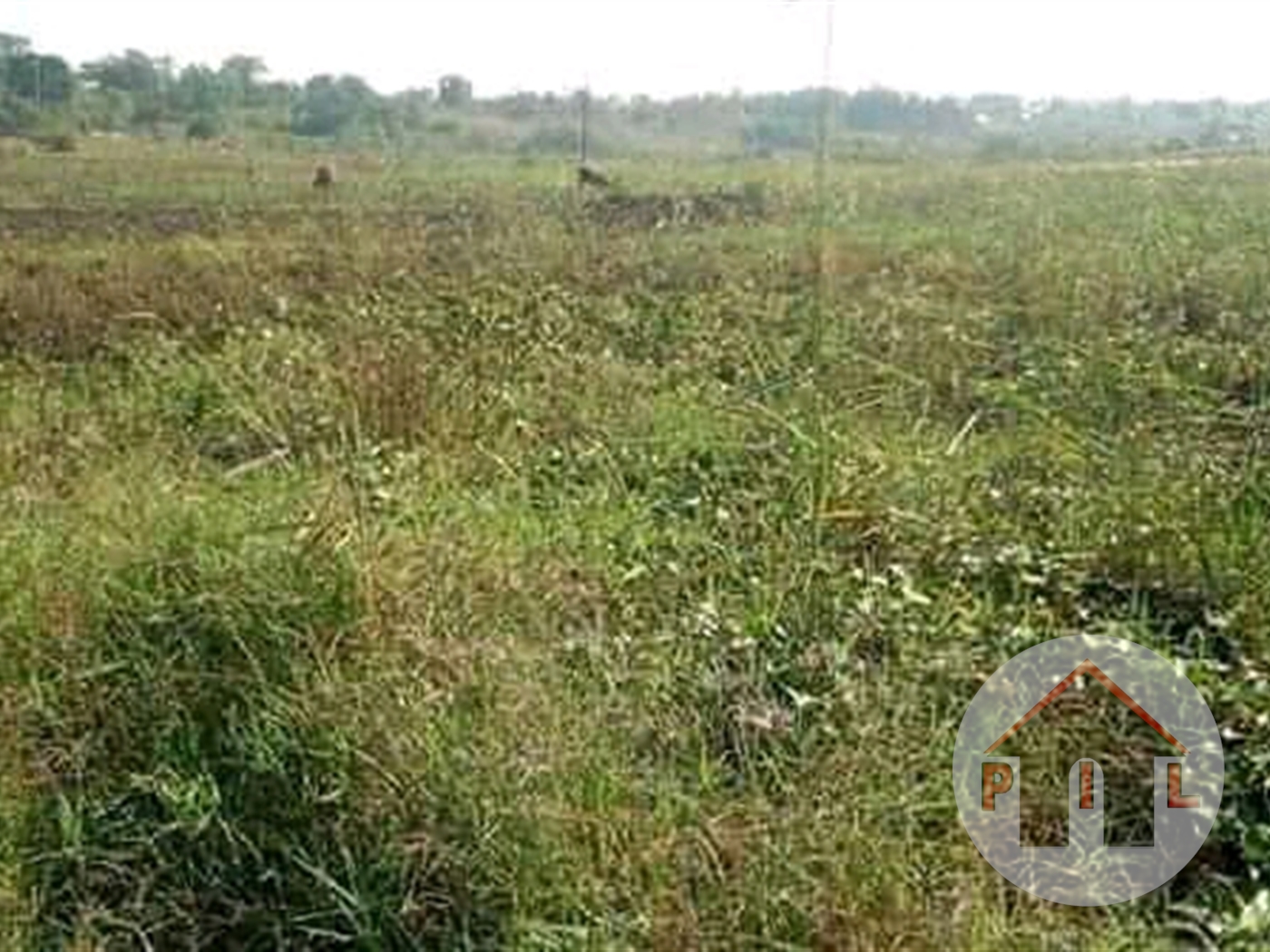 Agricultural Land for sale in Ziloobwe Luweero