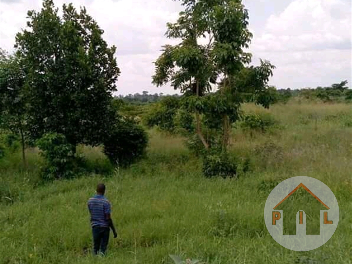 Agricultural Land for sale in Busunjju Wakiso