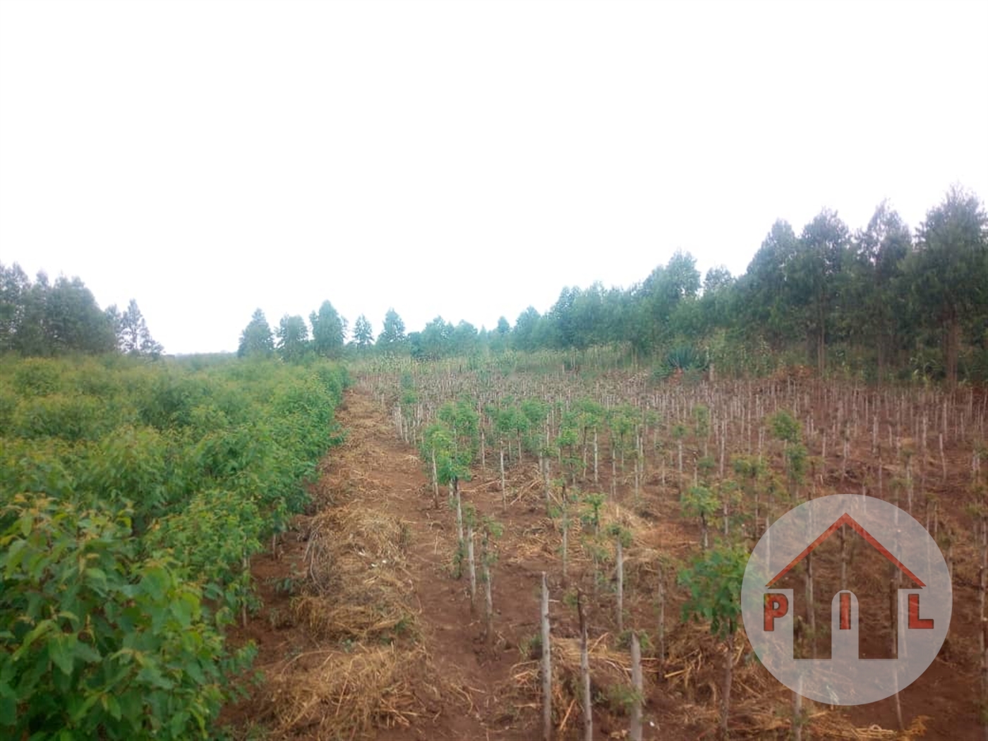 Residential Land for sale in Mpererwe Wakiso