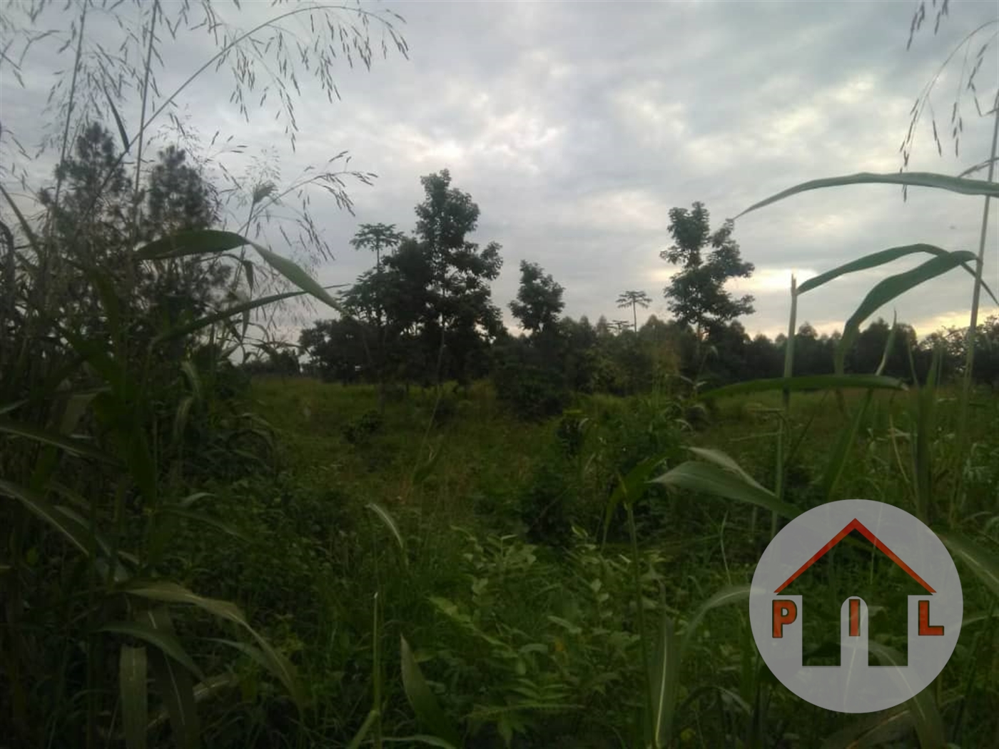 Agricultural Land for sale in Luweero Luweero