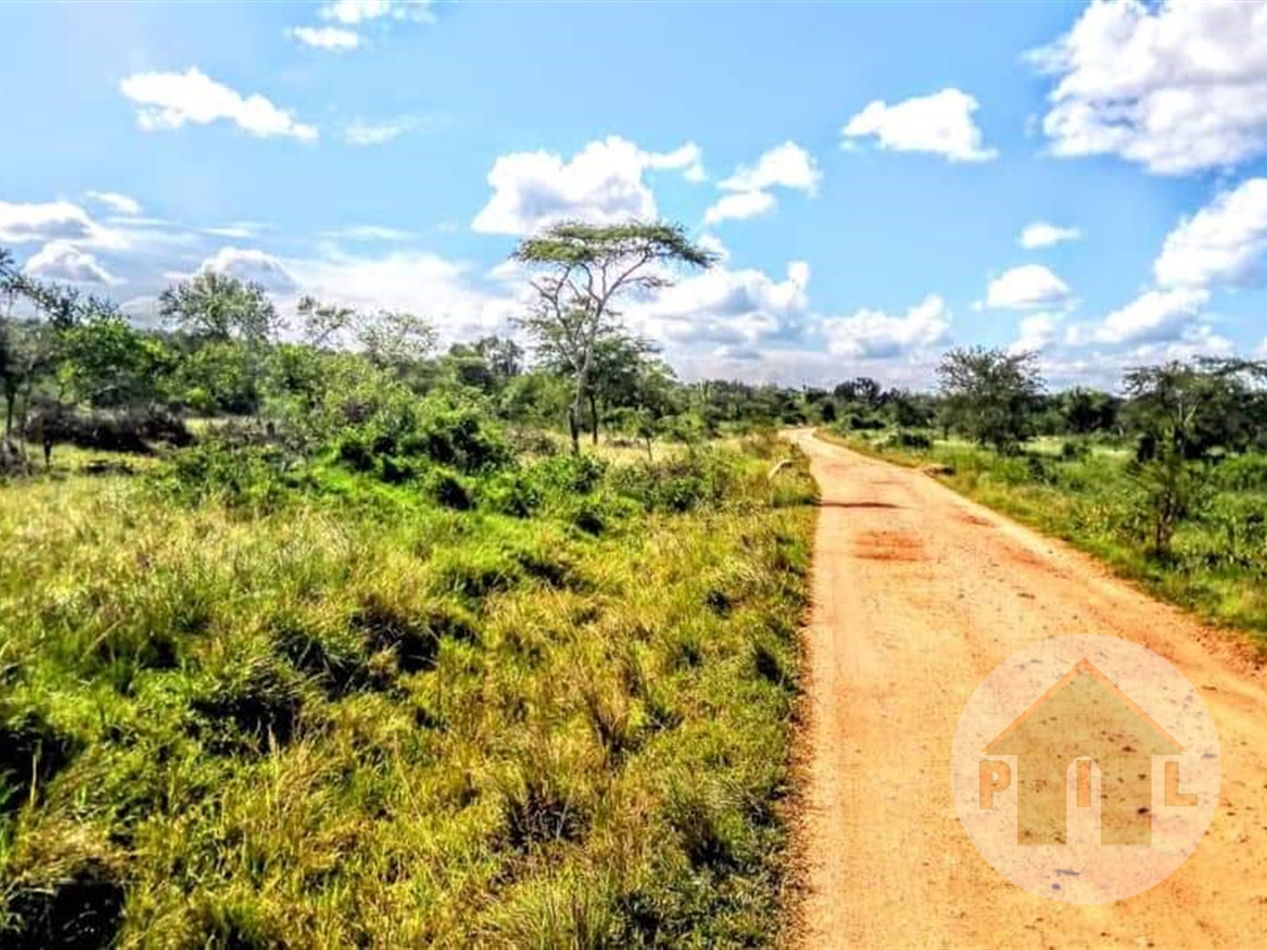 Agricultural Land for sale in Nshara Kiruhura