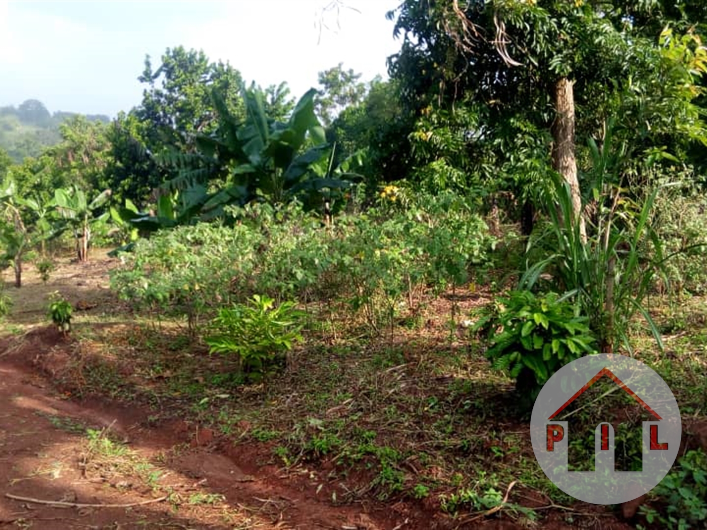 Agricultural Land for sale in Lubowa Kampala