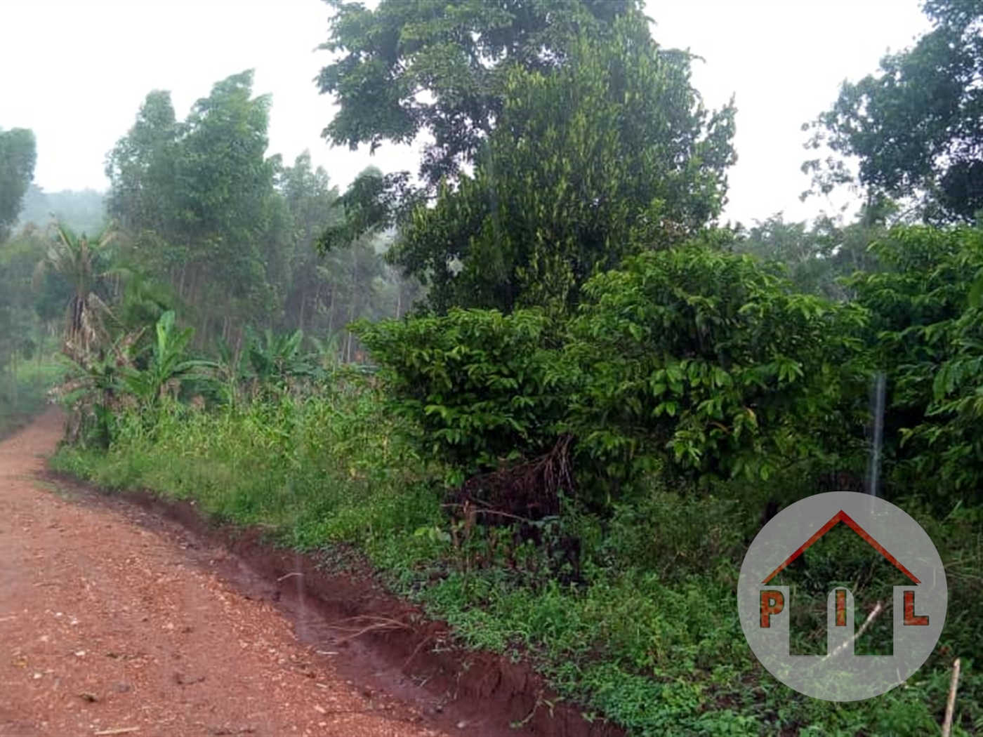 Agricultural Land for sale in Nakosi Mukono