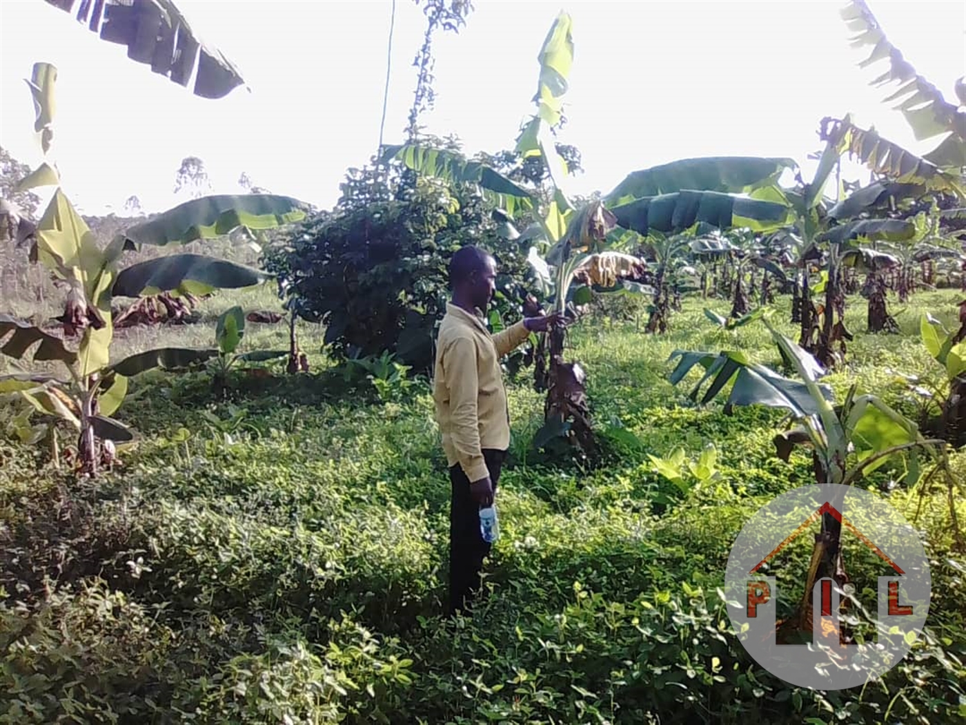 Agricultural Land for sale in Busawuli Wakiso