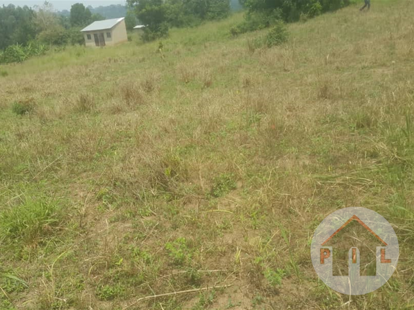 Agricultural Land for sale in Bugomba Luweero