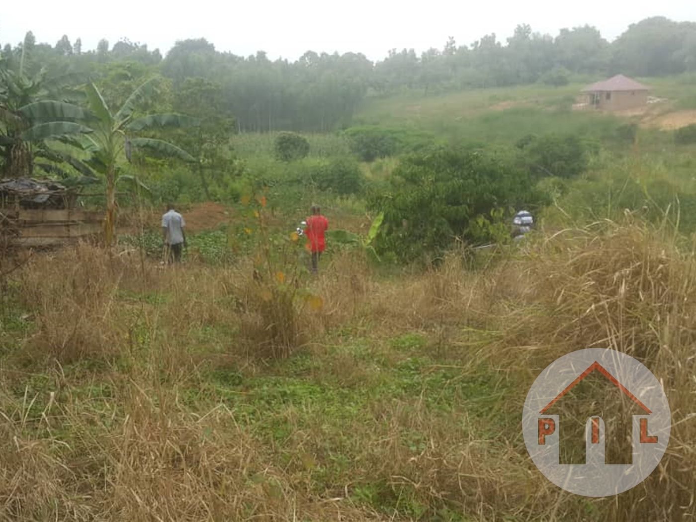 Agricultural Land for sale in Bugomba Luweero