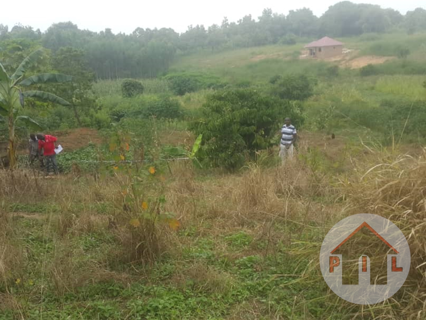 Agricultural Land for sale in Bugomba Luweero