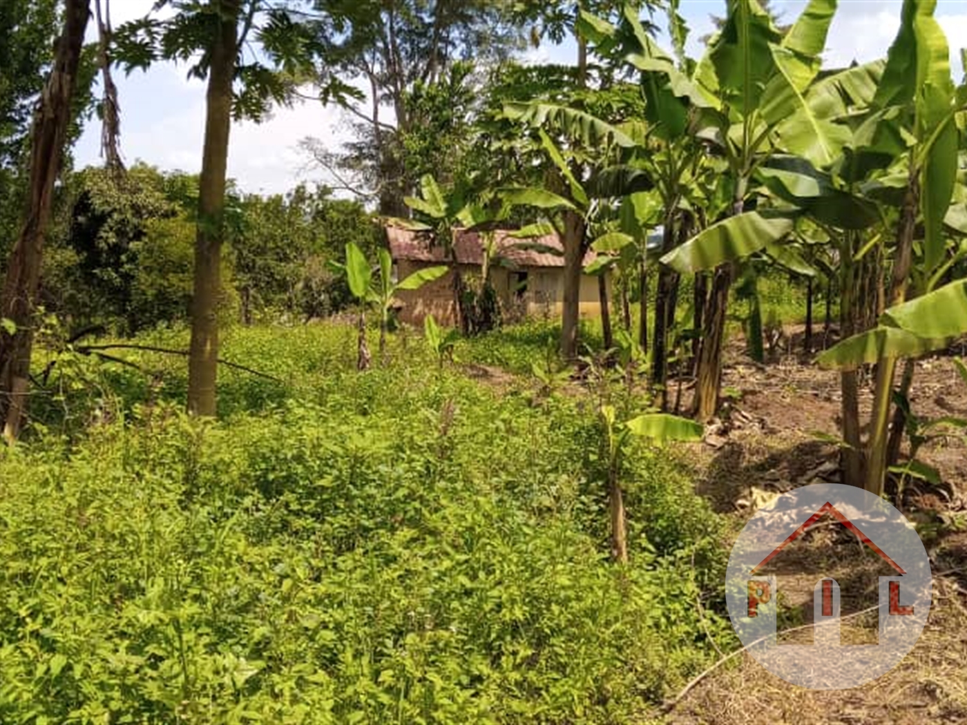 Agricultural Land for sale in Kavule Wakiso