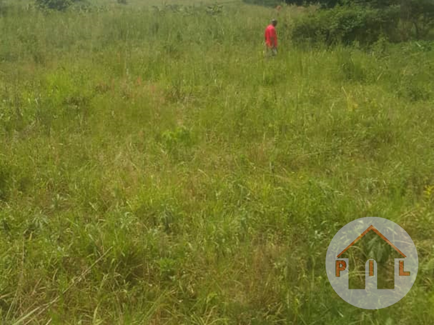 Residential Land for sale in Kira Wakiso