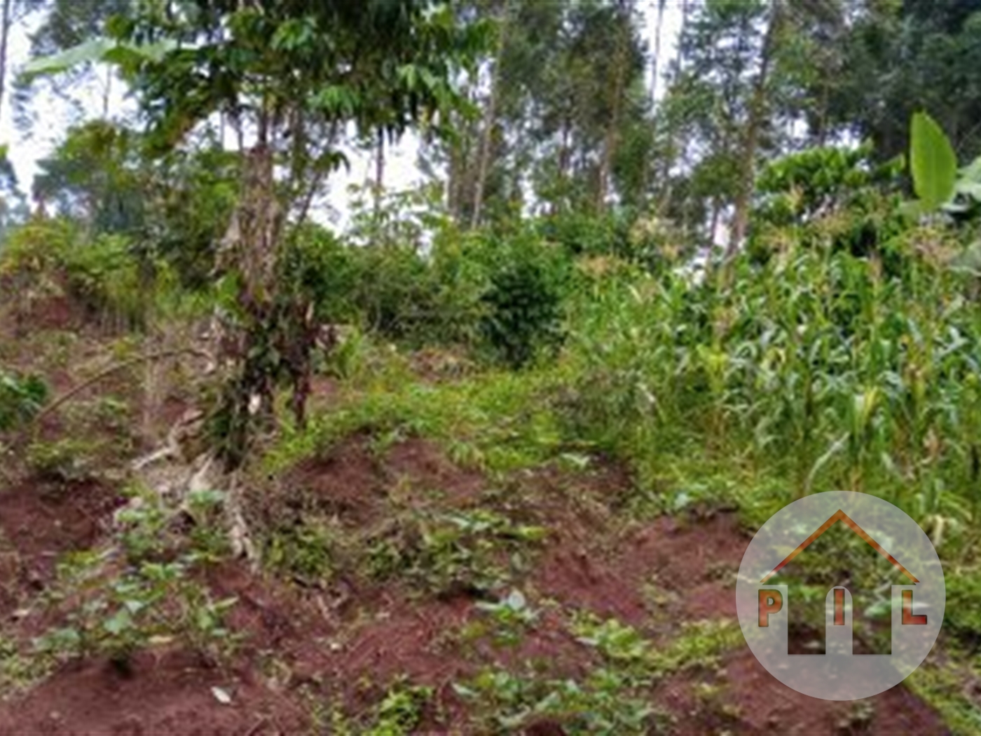 Residential Land for sale in Gitta Wakiso