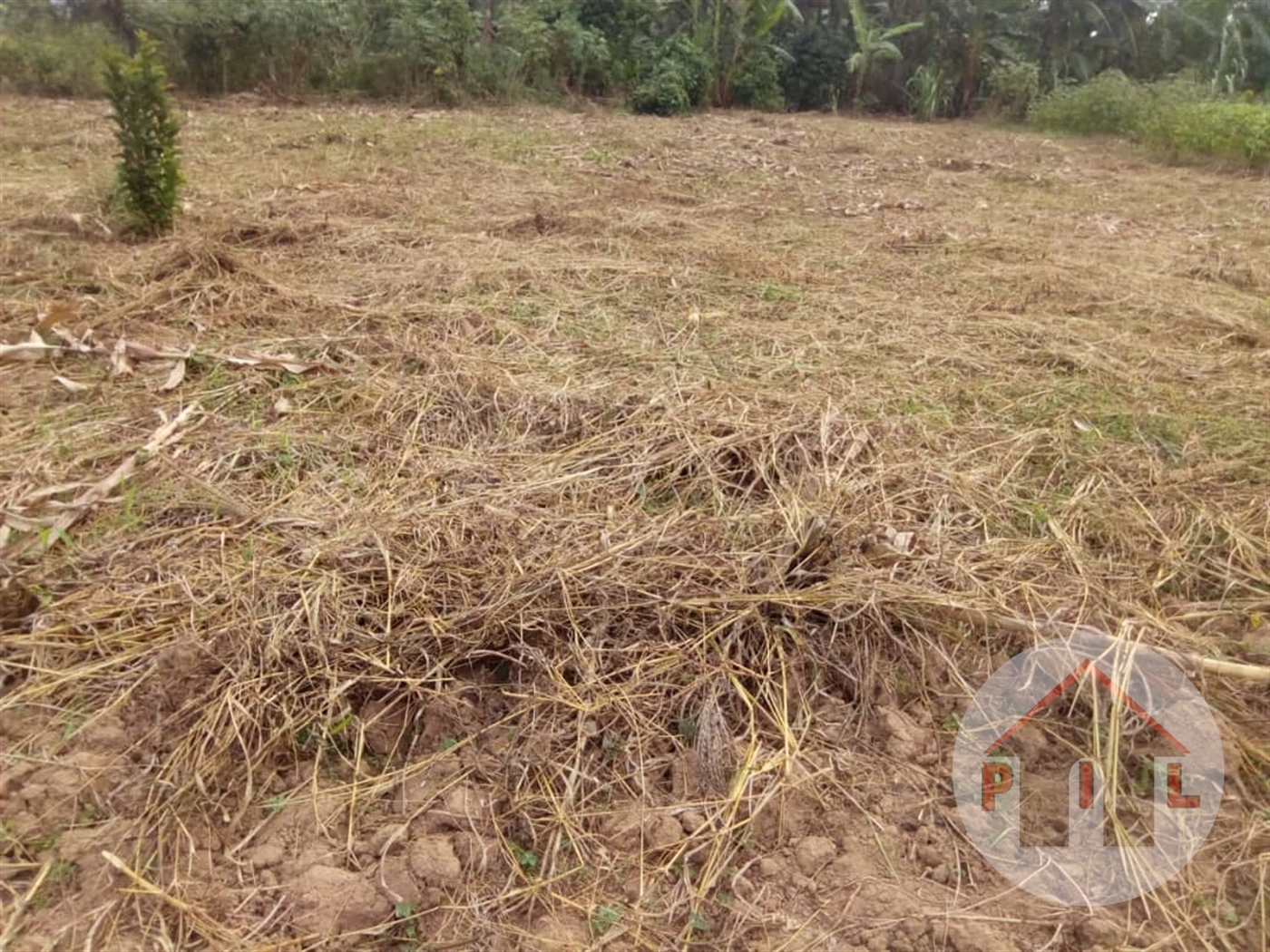 Residential Land for sale in Kigo Kampala