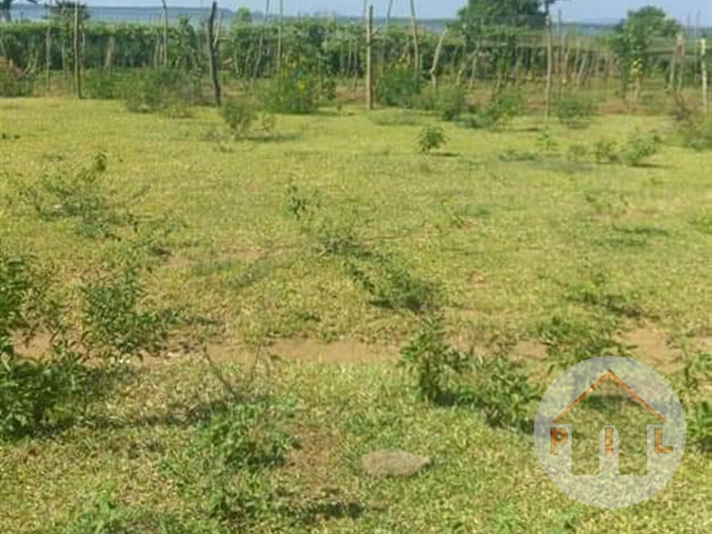 Agricultural Land for sale in Buvuma Wakiso