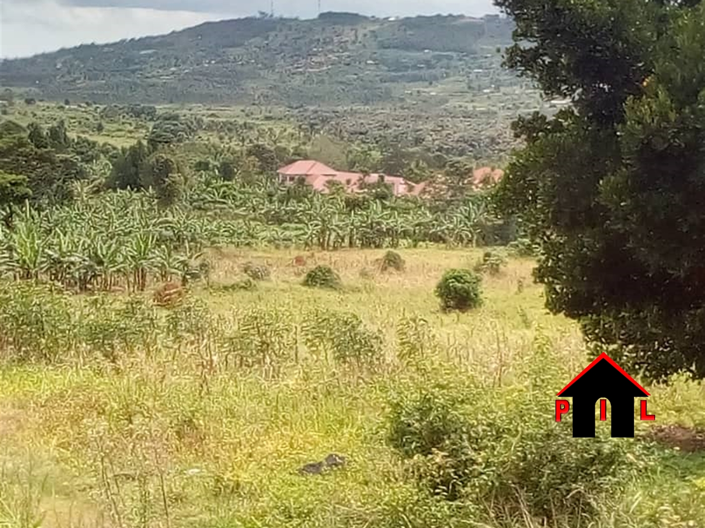 Residential Land for sale in Gayaza Wakiso