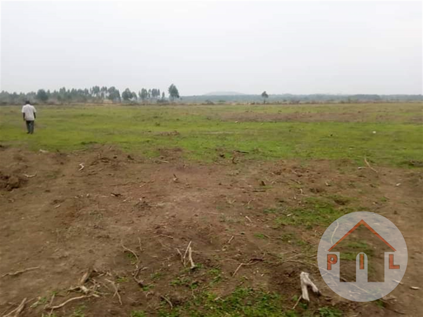 Agricultural Land for sale in Kayabwe Masaka