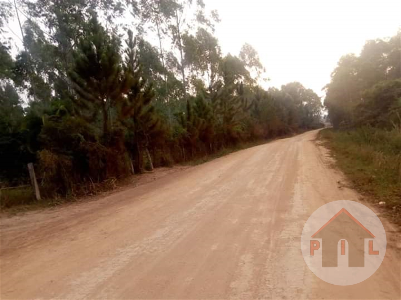 Agricultural Land for sale in Kayabwe Masaka