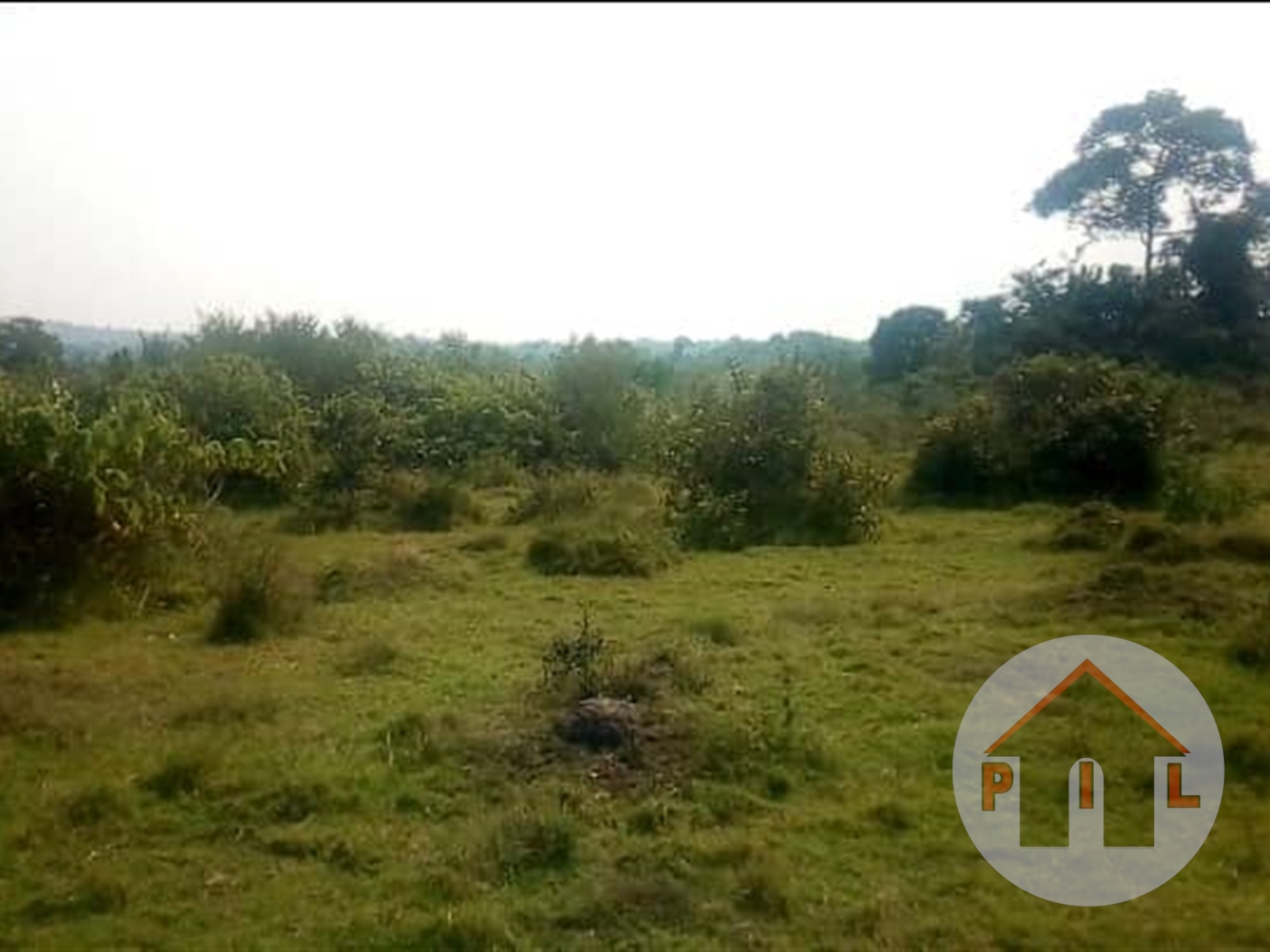 Agricultural Land for sale in Kyotela Masaka