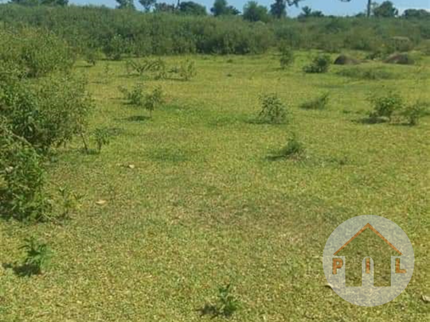 Agricultural Land for sale in Bugujju Mukono