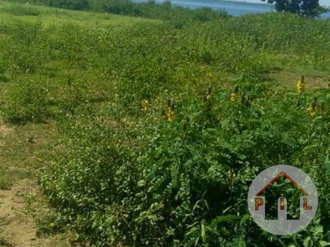 Agricultural Land for sale in Bwebajja Wakiso