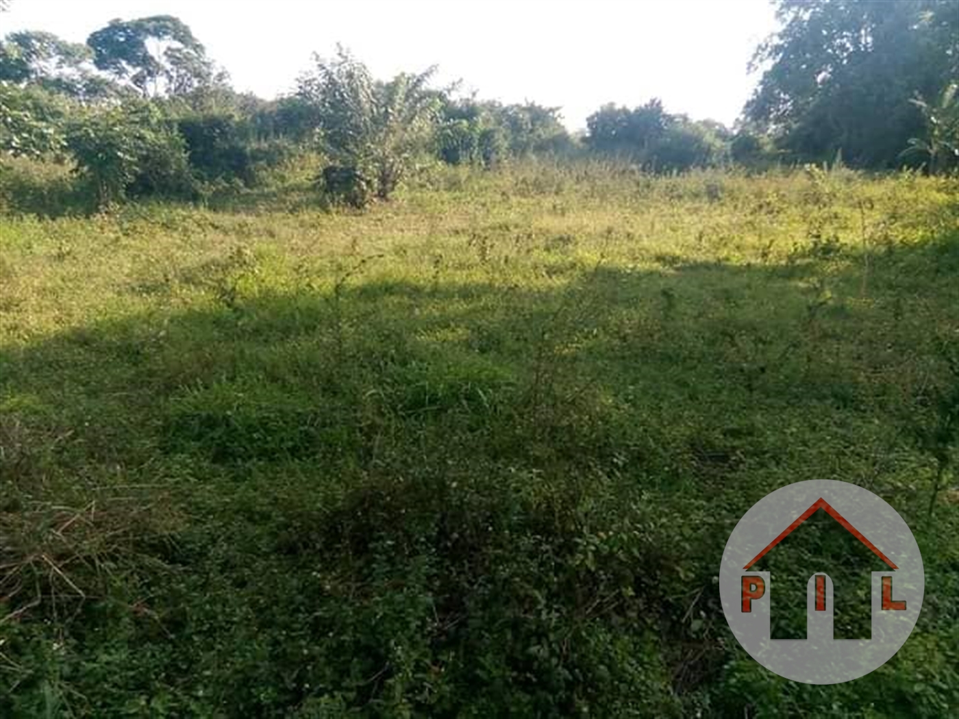 Agricultural Land for sale in Kyegegwa Kyenjojo