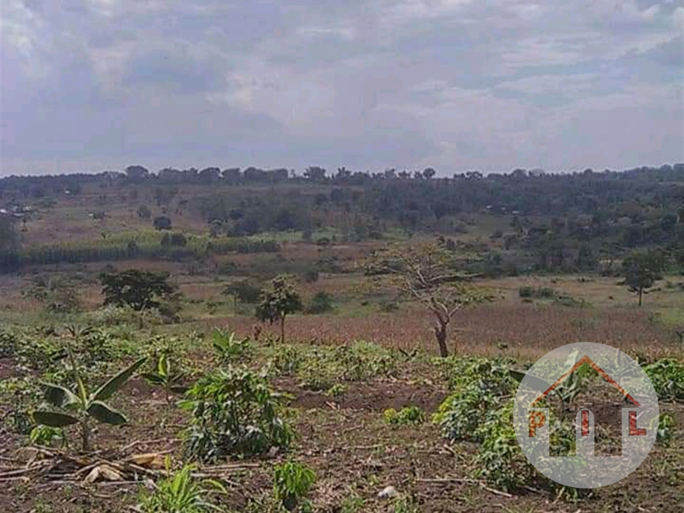 Agricultural Land for sale in Kyegegwa Kyenjojo