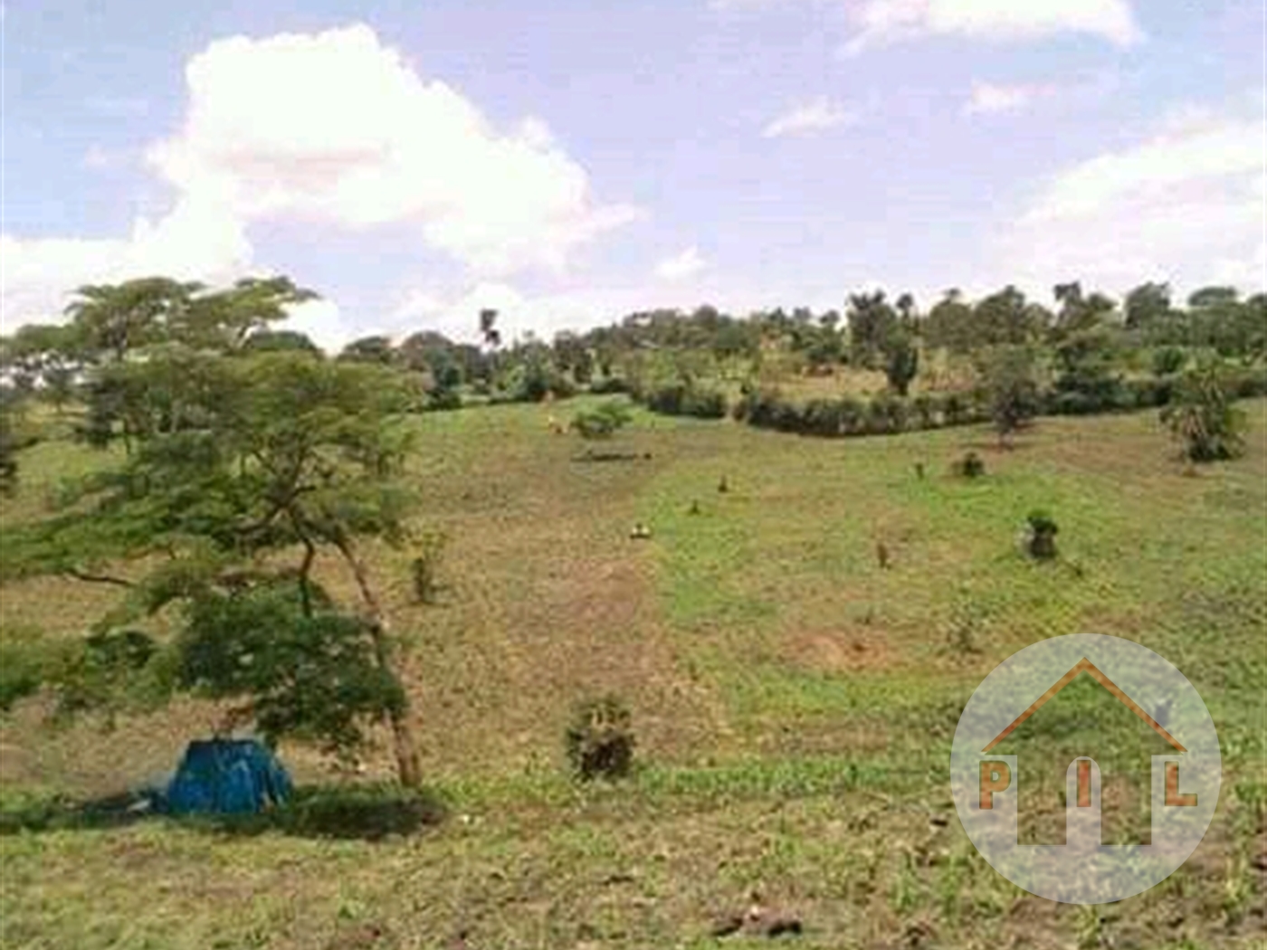 Agricultural Land for sale in Kyegegwa Kyenjojo