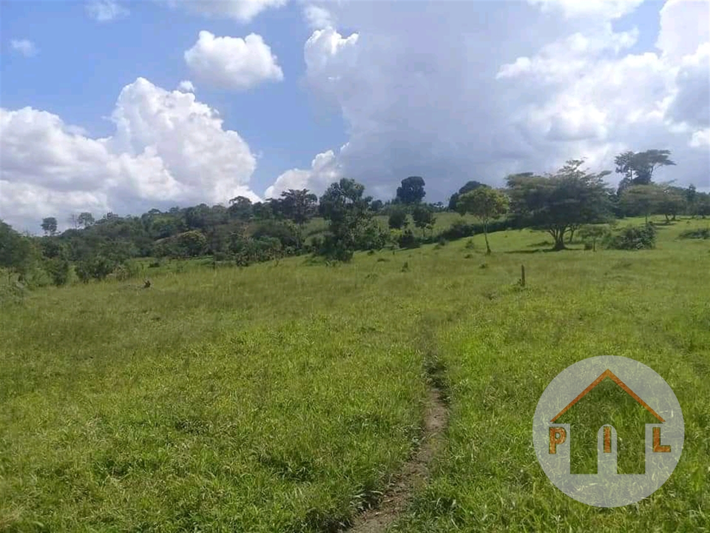 Agricultural Land for sale in Kyegegwa Kyenjojo