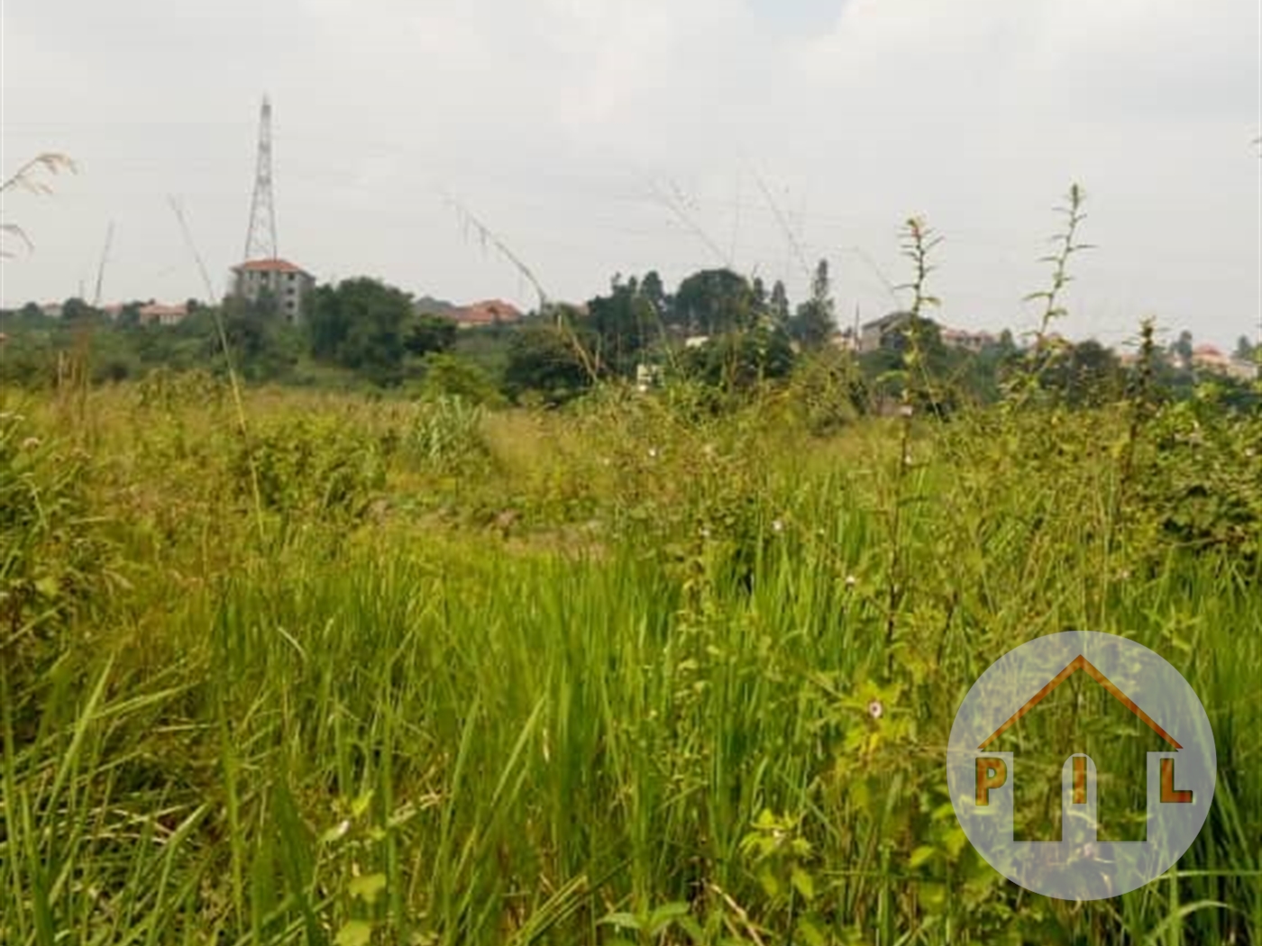 Agricultural Land for sale in Kayunga Kayunga