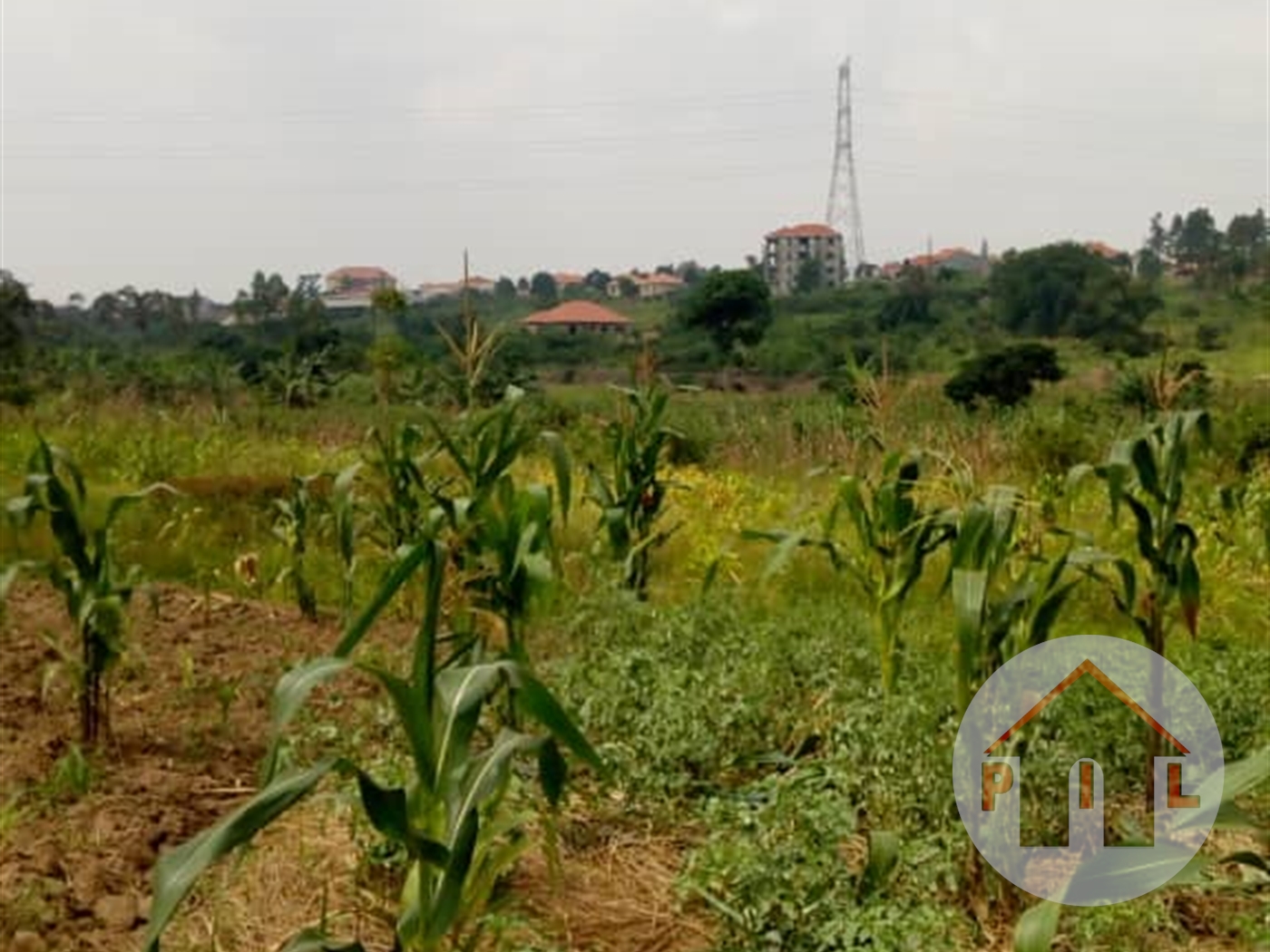 Agricultural Land for sale in Kayunga Kayunga