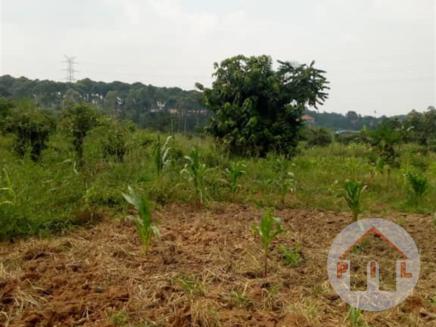 Agricultural Land for sale in Kayunga Kayunga