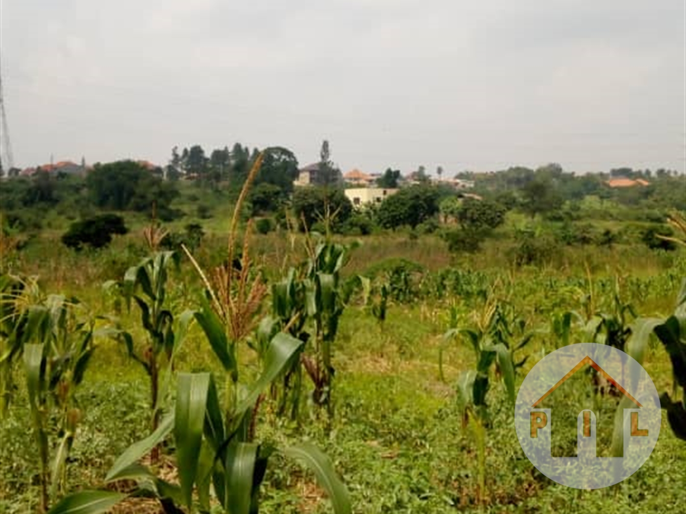 Agricultural Land for sale in Kayunga Kayunga