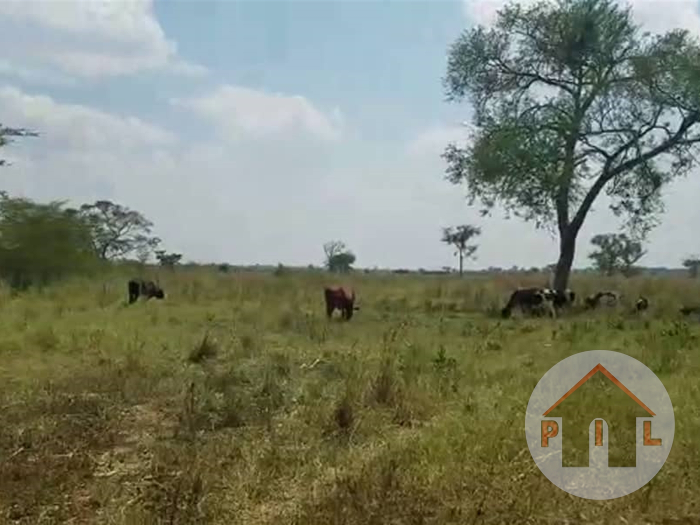 Agricultural Land for sale in Kalungu Masaka