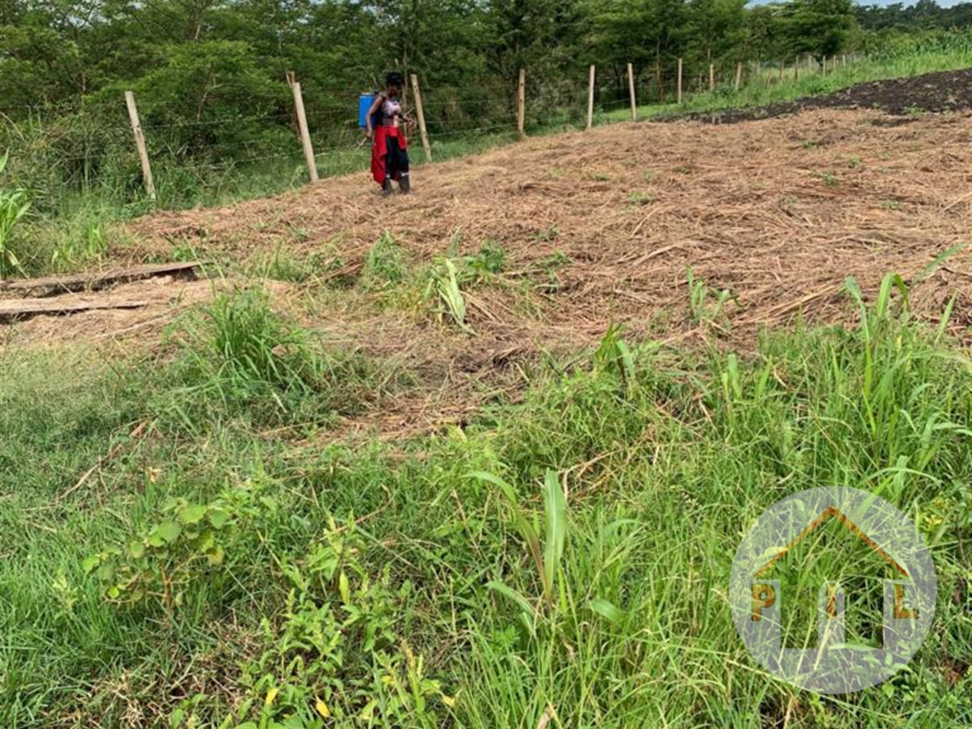 Residential Land for sale in Lutembe Wakiso