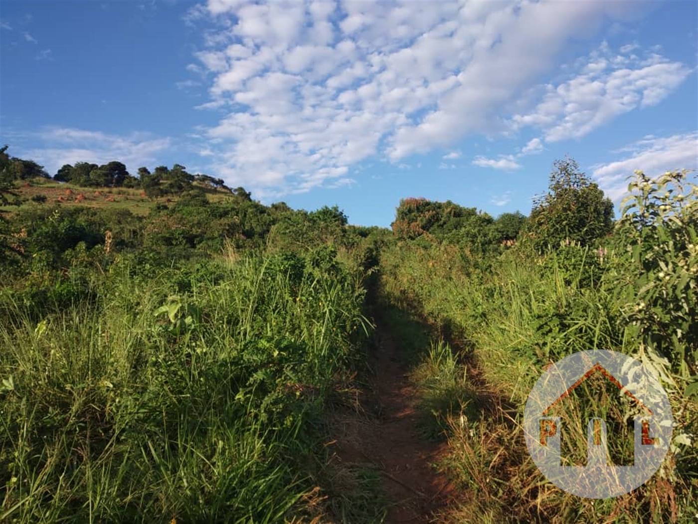 Agricultural Land for sale in Nakawuka Wakiso