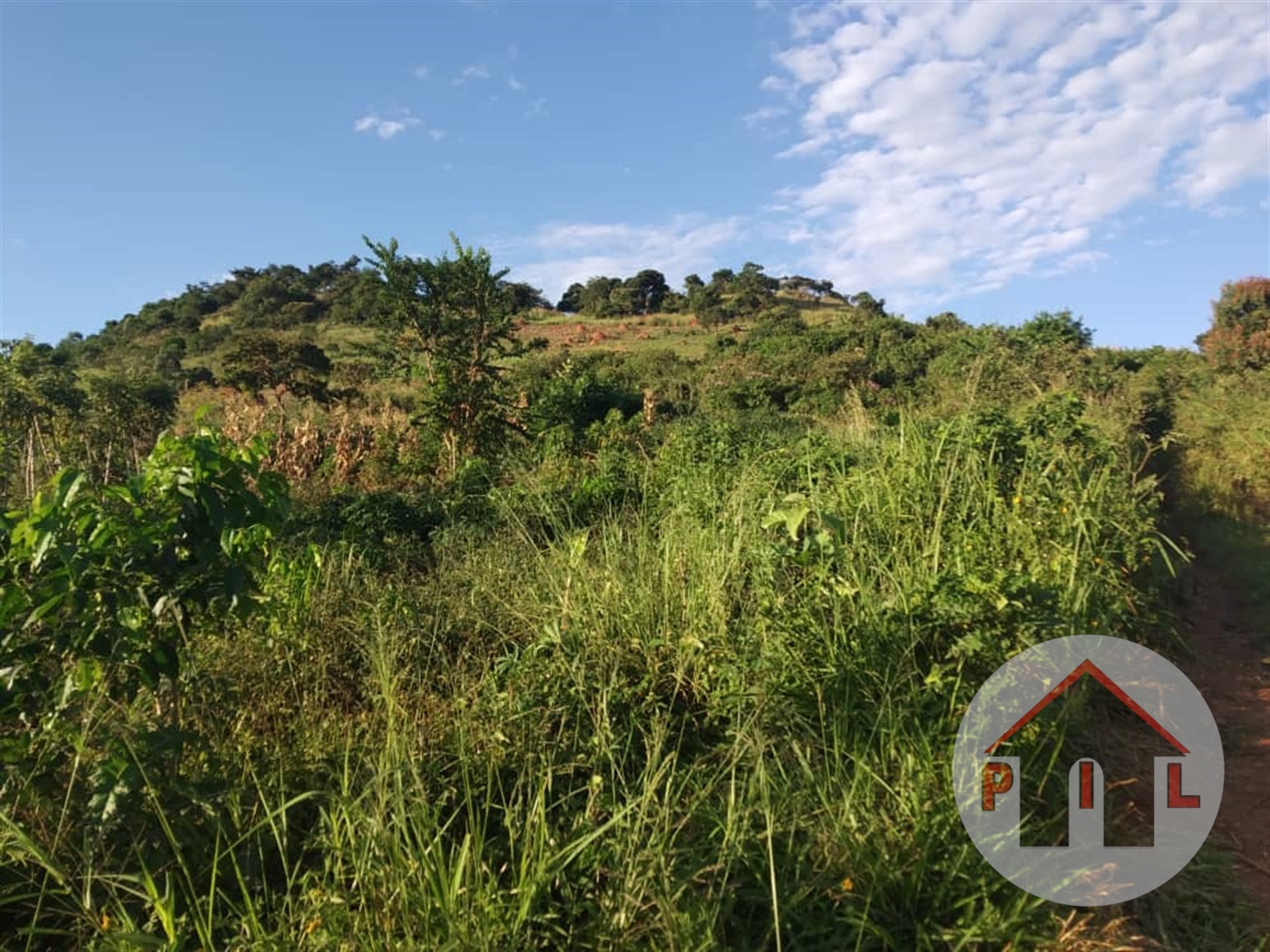 Agricultural Land for sale in Nakawuka Wakiso