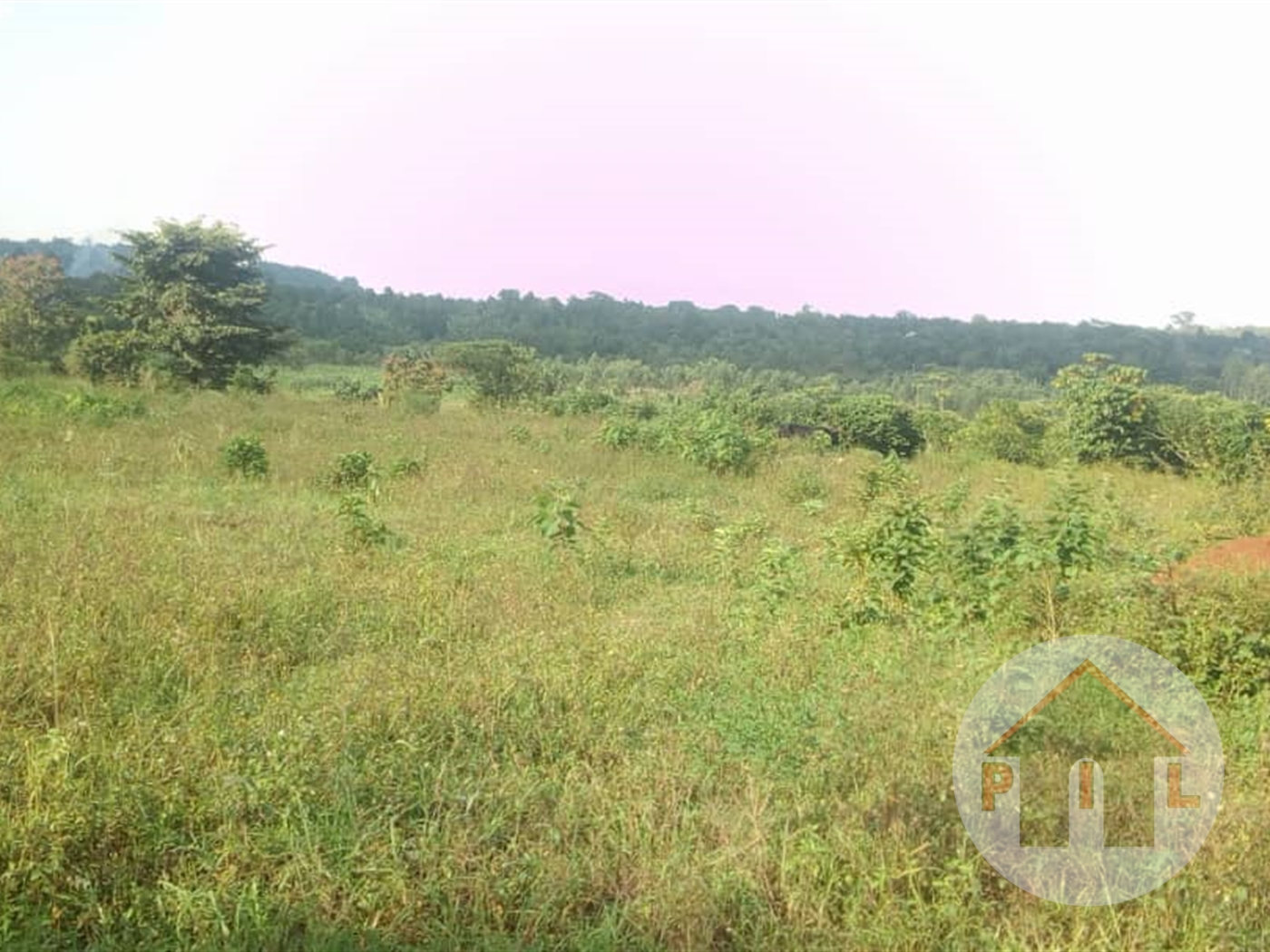 Agricultural Land for sale in Wakyato Nakaseke