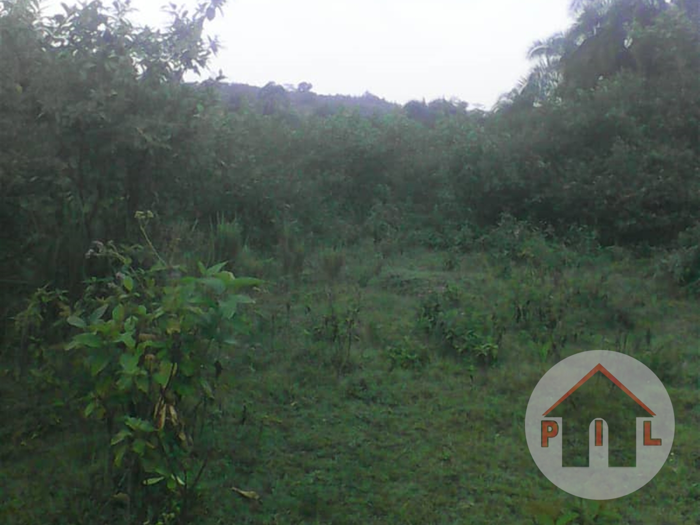 Agricultural Land for sale in Kiboga Kiboga