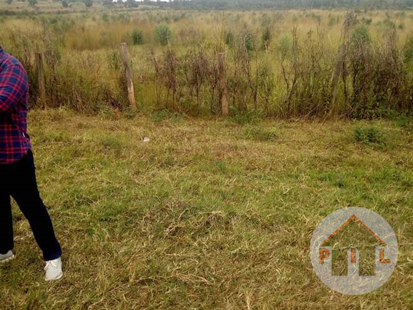 Agricultural Land for sale in Migyera Nakasongola