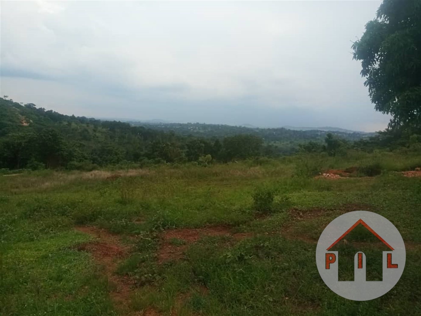 Agricultural Land for sale in Njeru Jinja