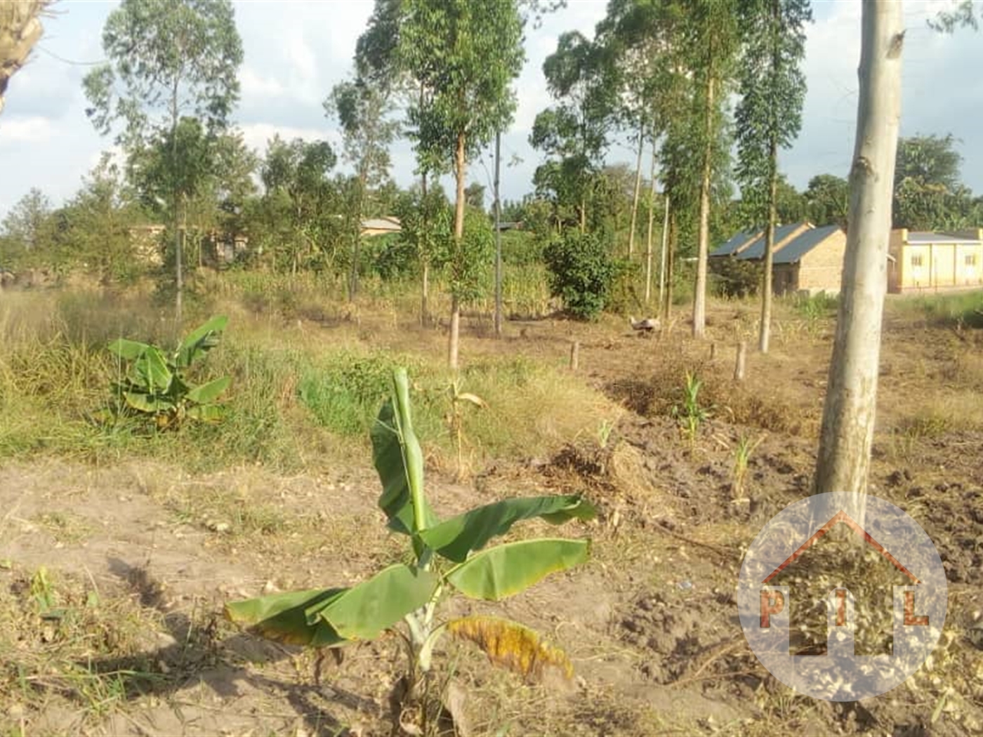 Agricultural Land for sale in Bombo Luweero