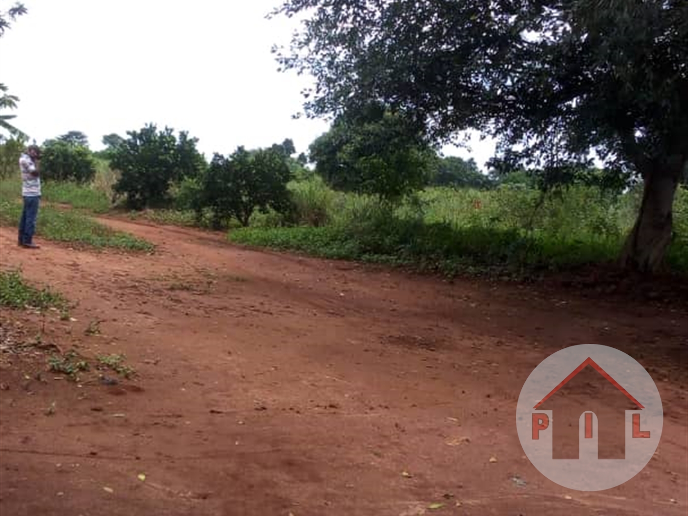 Agricultural Land for sale in Watuba Luweero