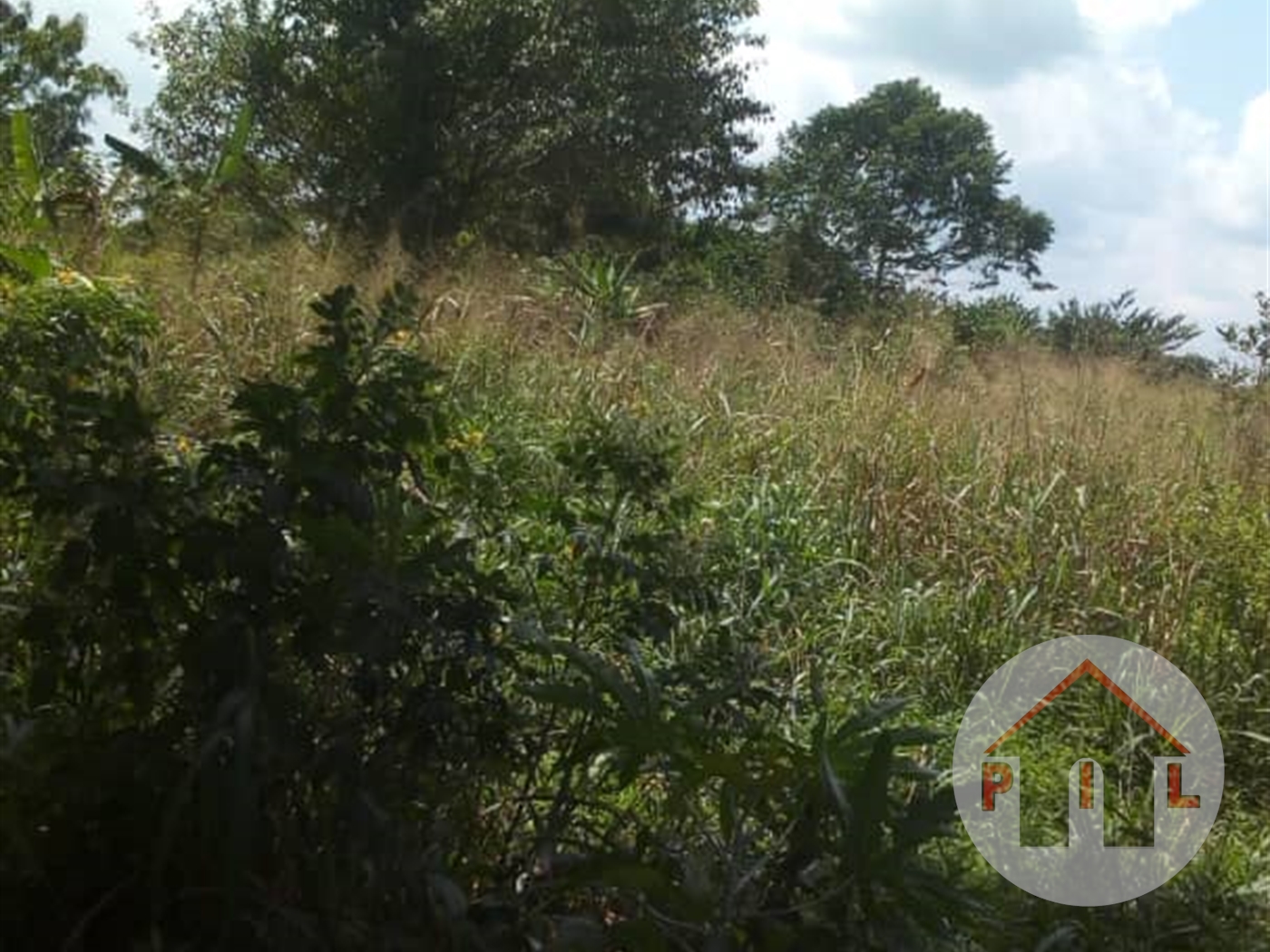 Agricultural Land for sale in Watuba Luweero