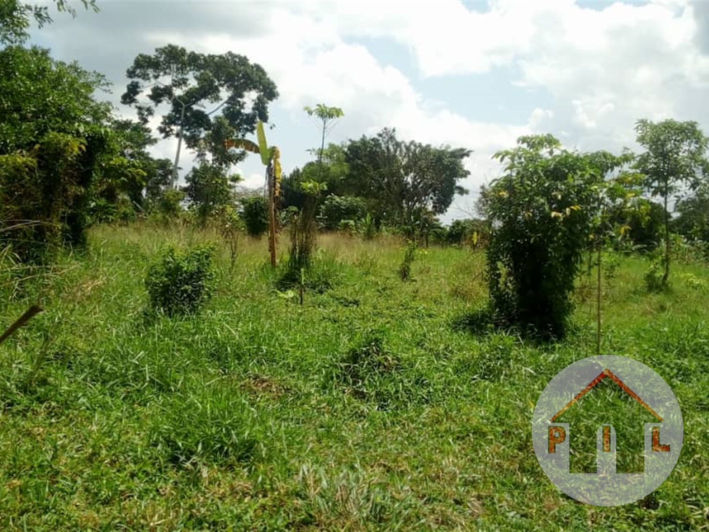 Agricultural Land for sale in Kakelenge Luweero