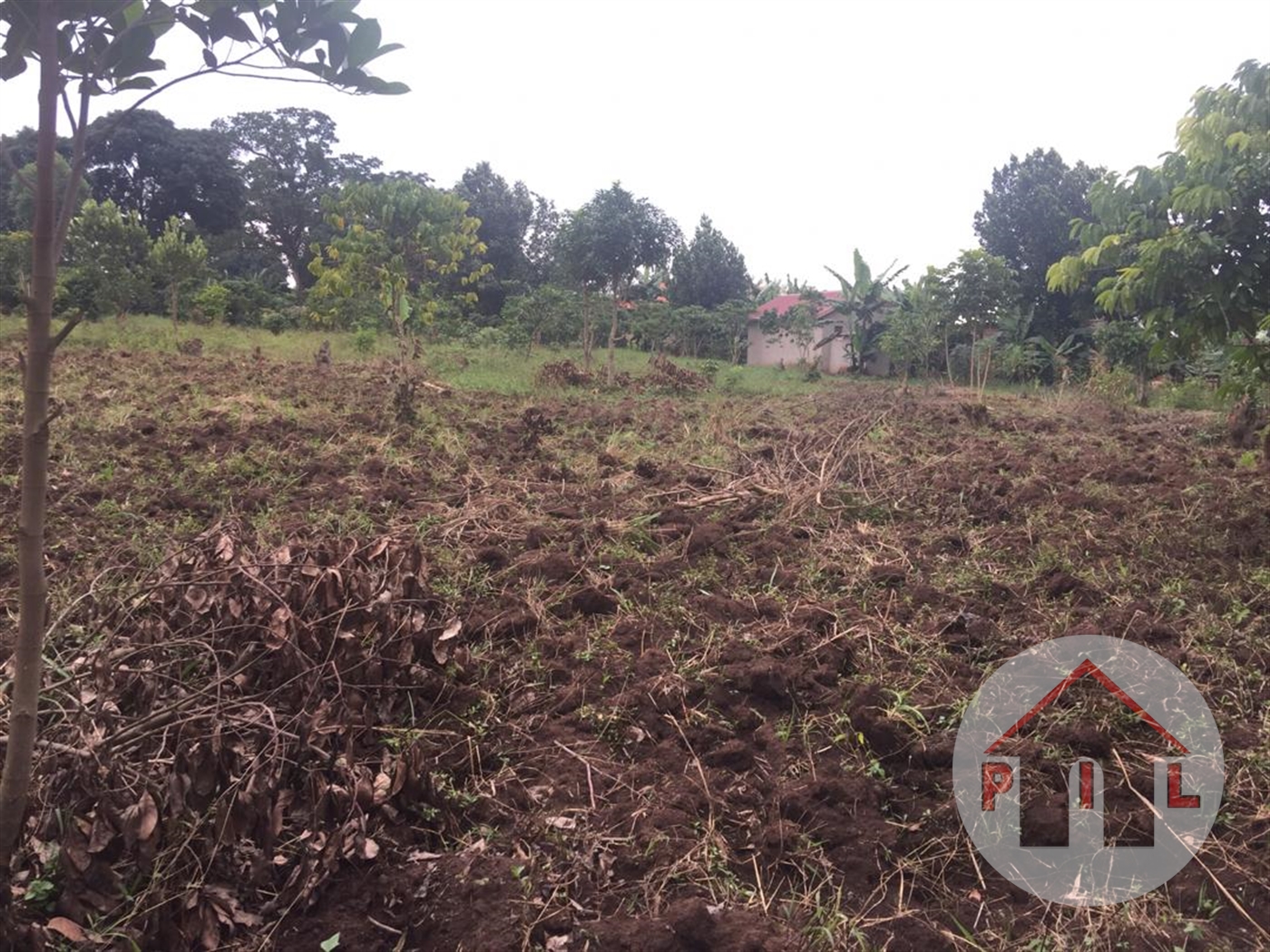 Agricultural Land for sale in Wobulenzi Luweero